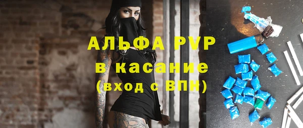 прущая мука Корсаков