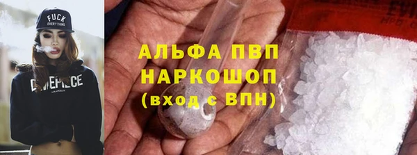 стафф Козельск